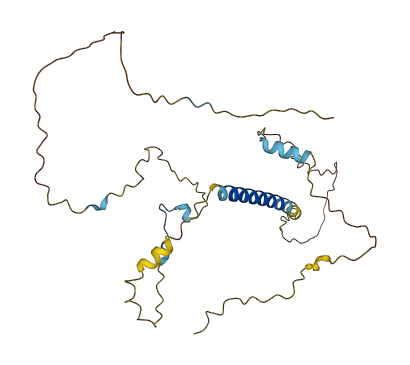 CCDC198 3D structure