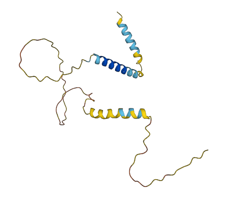 EVA1B 3D structure