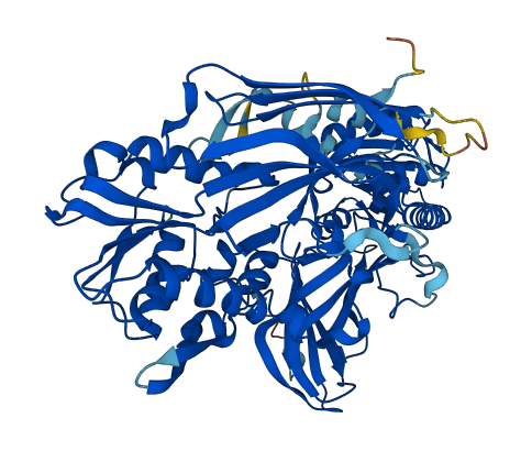 PRMT7 3D structure