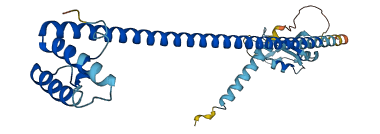 DNAJC17 3D structure
