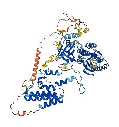 INTS13 3D structure