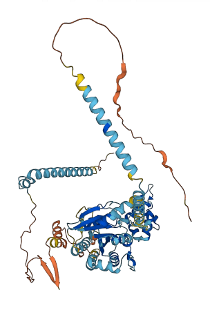 GNL3L 3D structure