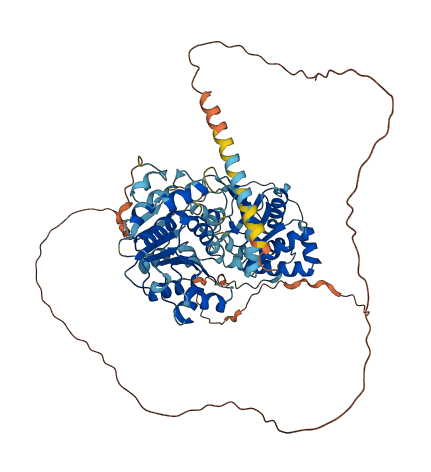 DDX18 3D structure