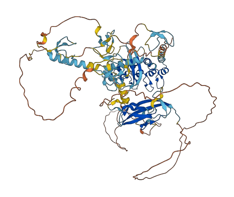 DZANK1 3D structure