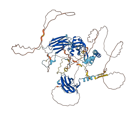 DNAAF2 3D structure
