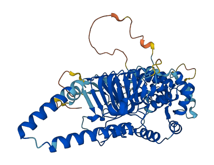TBCCD1 3D structure
