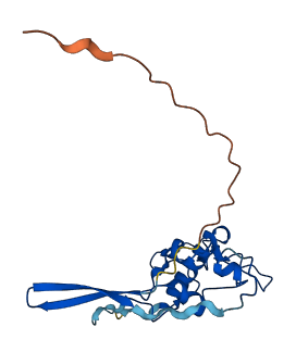 MRPS18A 3D structure