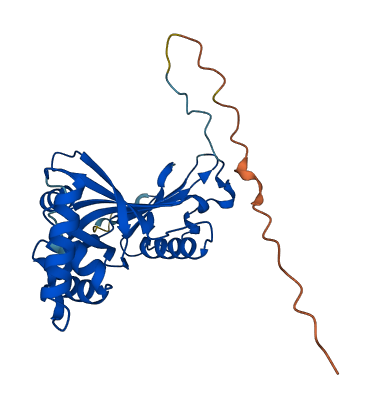 PNPO 3D structure