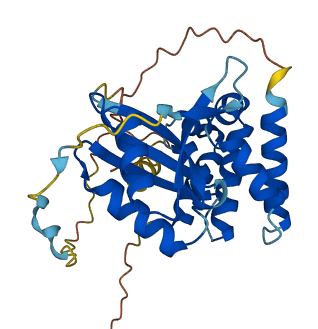 ARMC1 3D structure