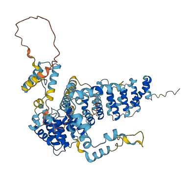 SDAD1 3D structure