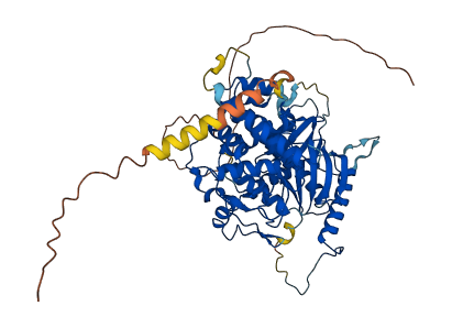 MTPAP 3D structure