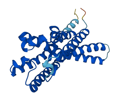 AIG1 3D structure