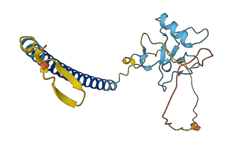 THAP1 3D structure