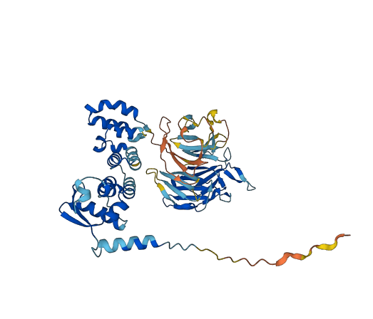 KBTBD4 3D structure