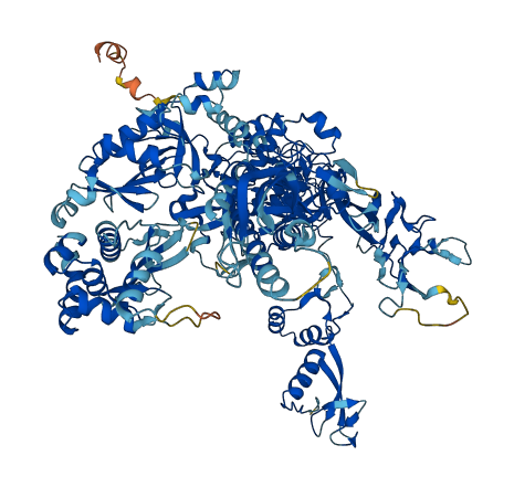 POLR3B 3D structure