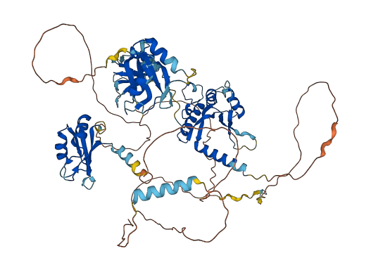 RBM28 3D structure