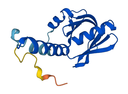 PLEKHJ1 3D structure
