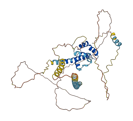 BSDC1 3D structure
