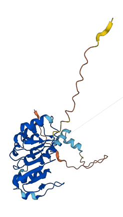 DMAC2 3D structure