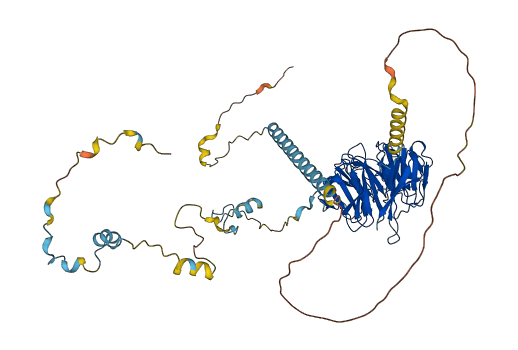 WDR70 3D structure