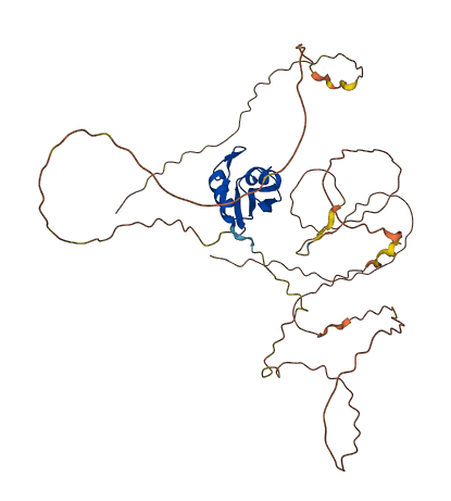 RBFOX1 3D structure
