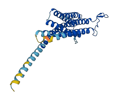 TMEM45A 3D structure