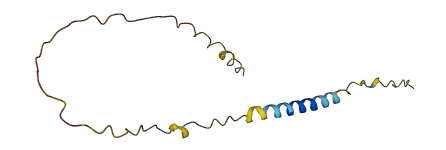 BEX4 3D structure
