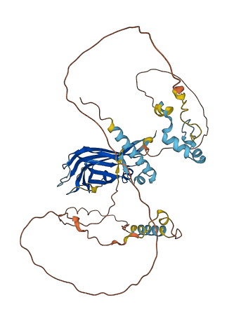 SPATA6 3D structure