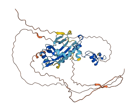 ZNHIT6 3D structure