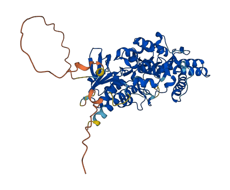SMOX 3D structure