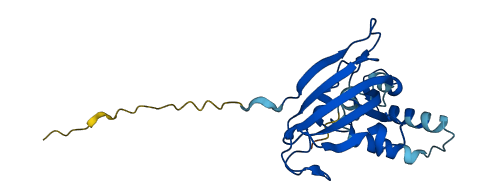 FKBP14 3D structure