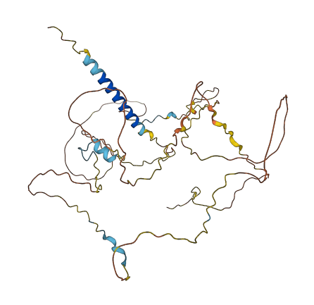 PAG1 3D structure