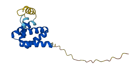 C14orf119 3D structure