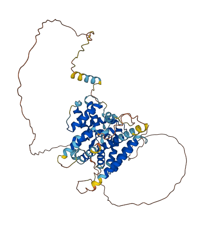 PARPBP 3D structure
