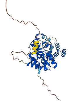FAM118A 3D structure