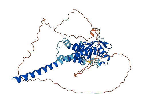 RMND1 3D structure