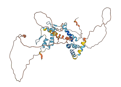 ZNF446 3D structure
