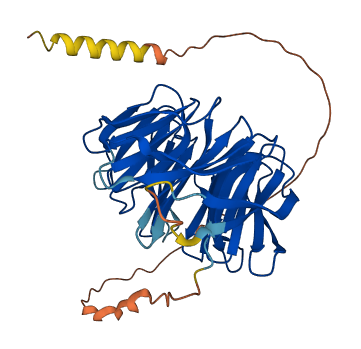 PAK1IP1 3D structure