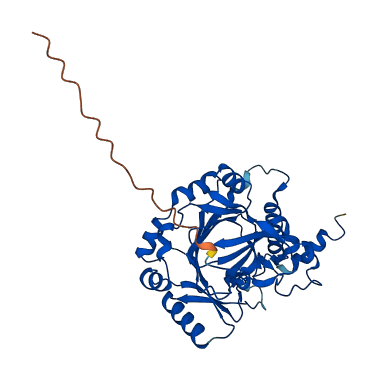 HIF1AN 3D structure