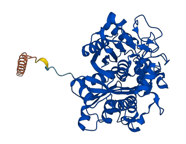 OXSM 3D structure