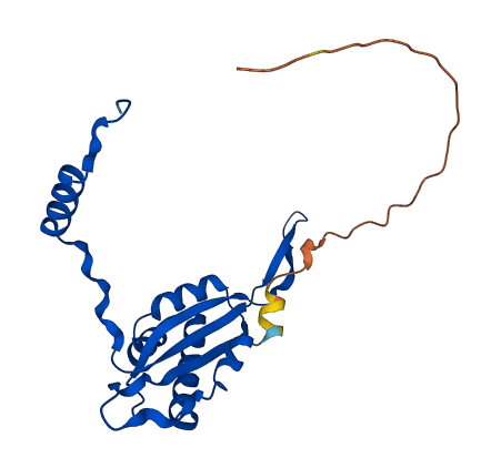 MRPL22 3D structure