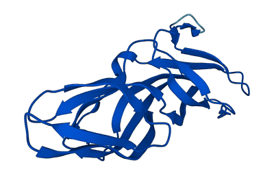 CZIB 3D structure