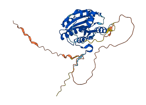 BABAM1 3D structure