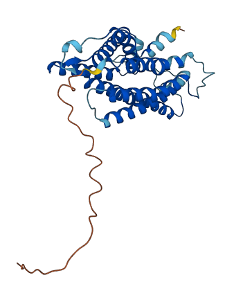 CLN6 3D structure
