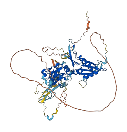 C2orf42 3D structure