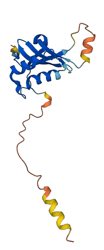 PLAAT2 3D structure
