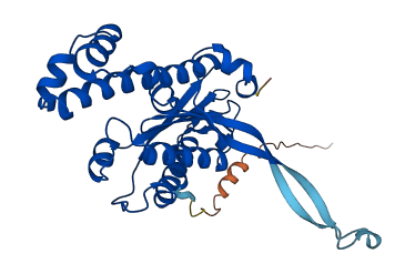 THG1L 3D structure