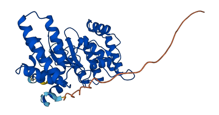 HPF1 3D structure