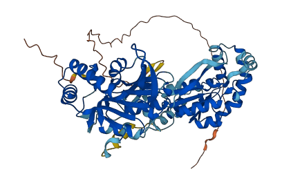 UCKL1 3D structure