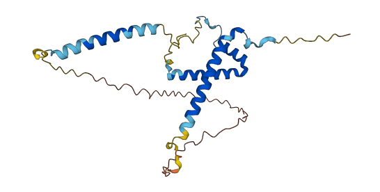 GEMIN8 3D structure